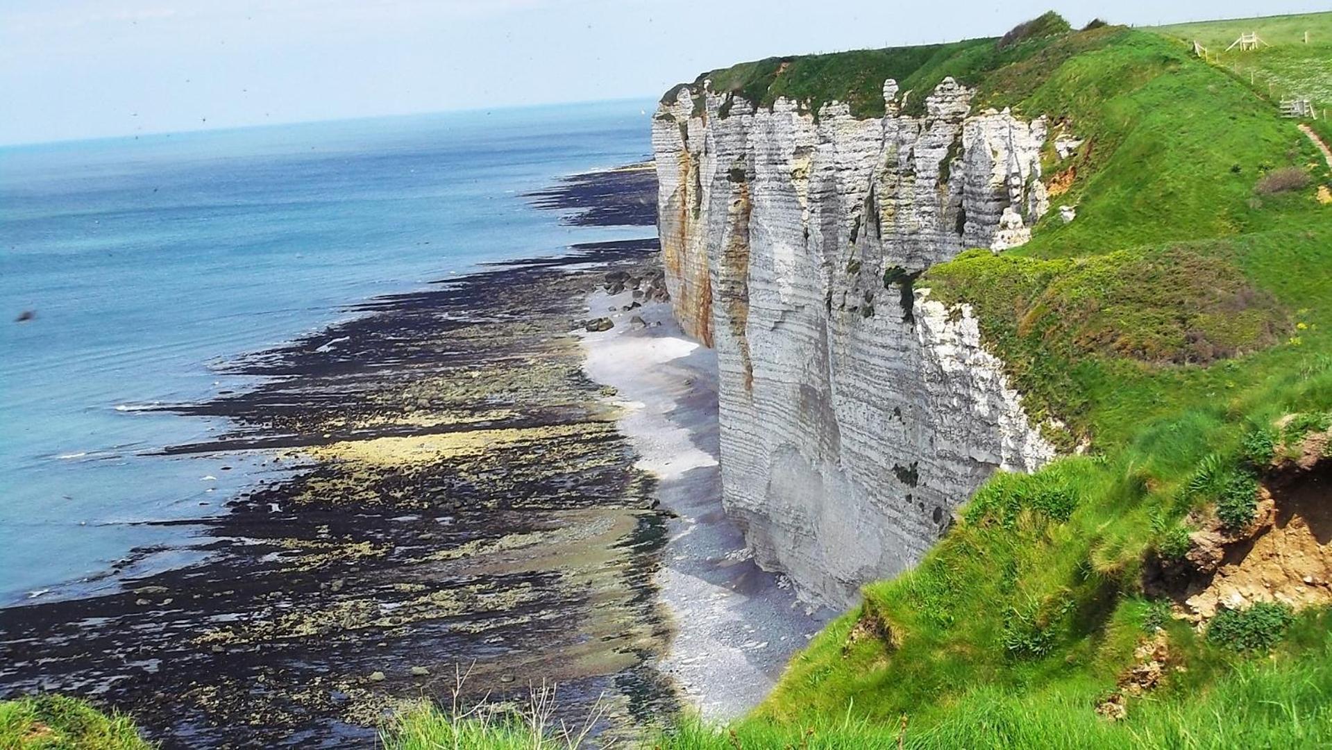 Chambre D'Hotes Etretat Les Loges  エクステリア 写真